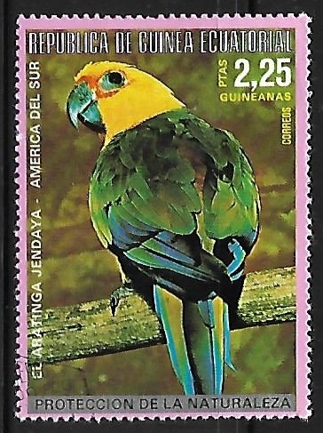 Loros