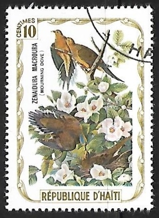 Aves
