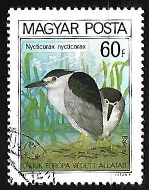 Garza