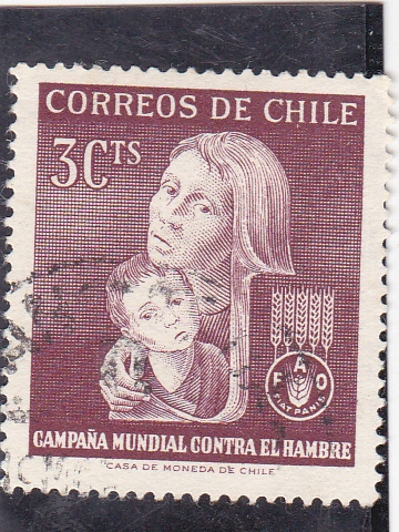 Campaña Mundial Contra el Hambre  F.A.O.