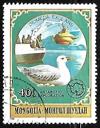 Pato