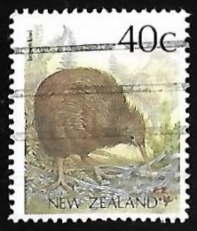 Brown Kiwi