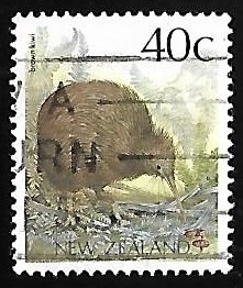 Brown Kiwi