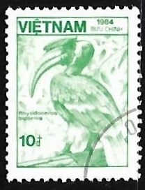 Great Hornbill 