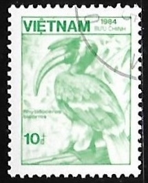 Great Hornbill 
