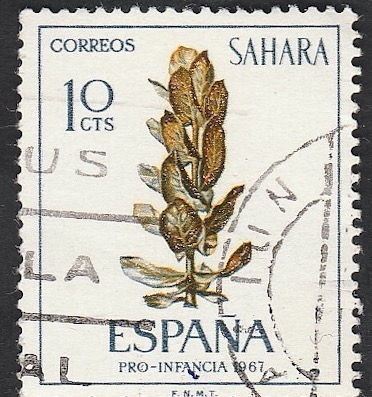 Sahara - 256 - Ficus