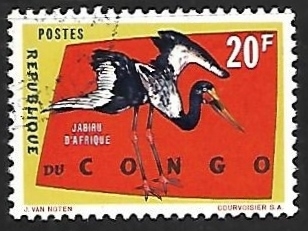 Jabiru d afrique