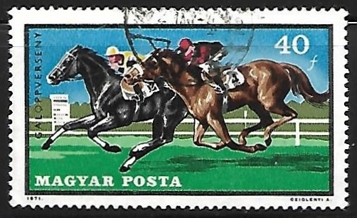 Equitación 