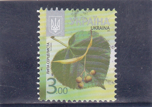 Hoja