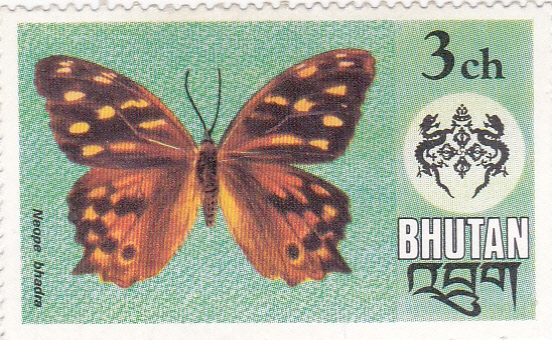 Mariposa