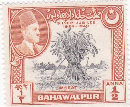 Trigo-BAHAWALPUR