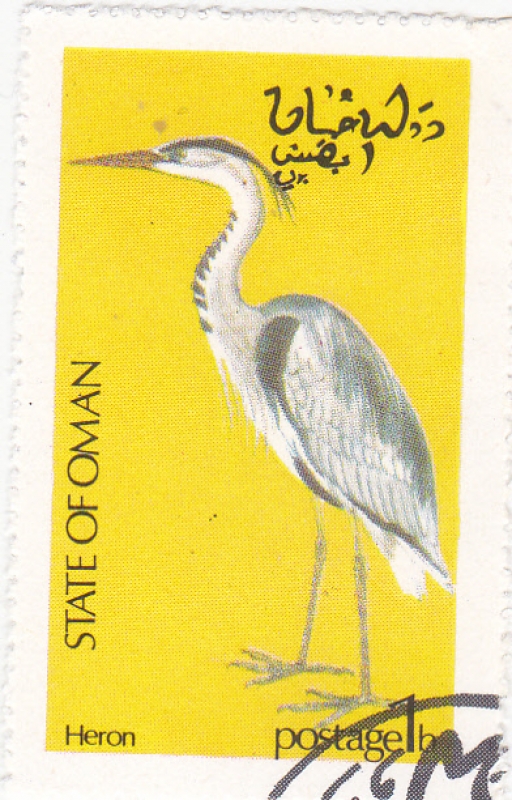  ave- Heron