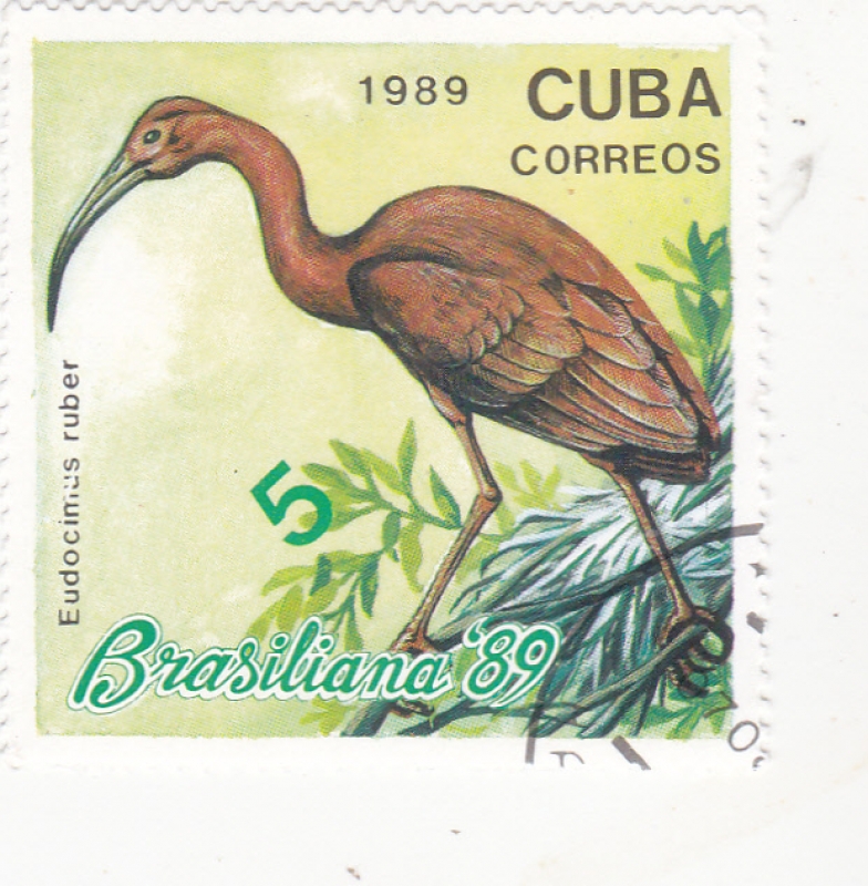  ave- BRASILIANA'89