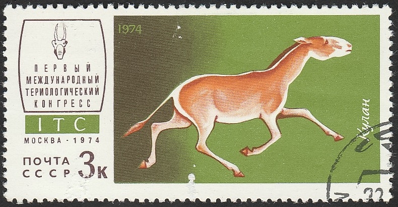 4039 - Fauna de la URSS, burro salvaje 