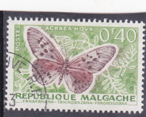 Mariposa