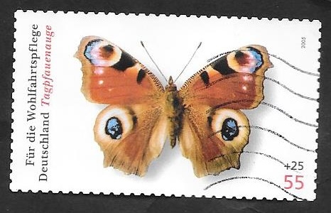 2327 - Mariposa