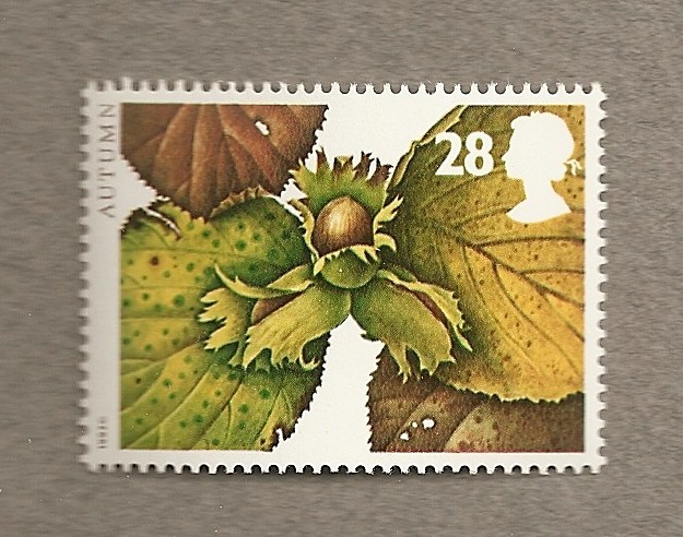Frutos de otoño