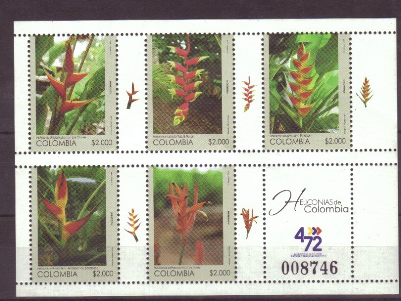 Helconias de Colombia