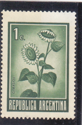 Flor- Girasol