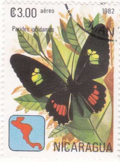 Mariposa