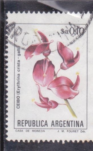 flores- CEIBO
