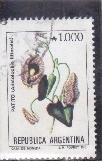 flores- PATITO