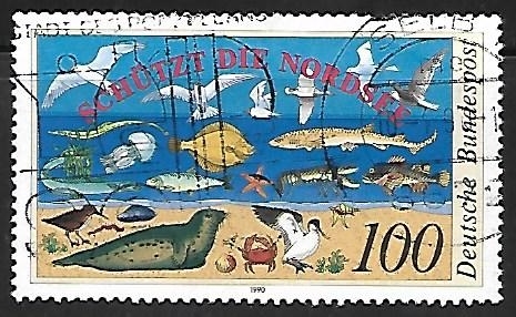 Fauna of the North Sea