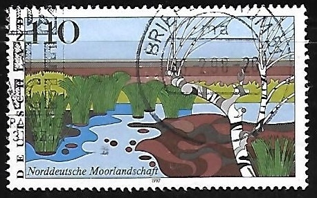 Moorland in Northern Germany