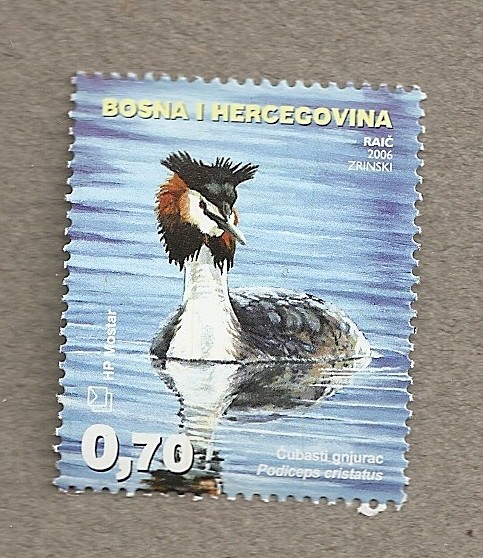 Aves del valle del Neretva