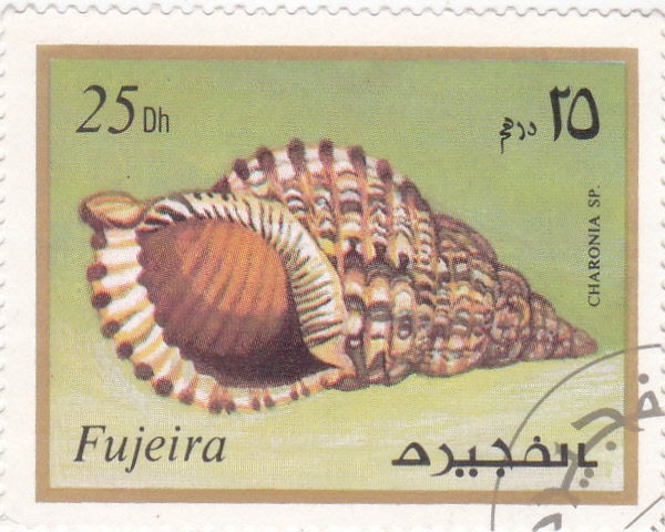 CARACOLA