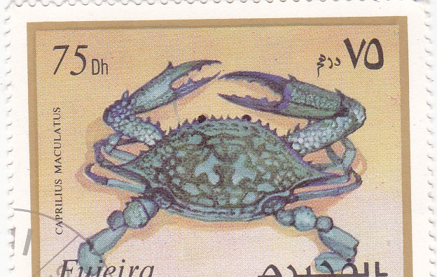 CRUSTACEO