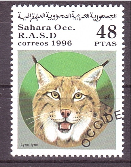 serie- Felinos