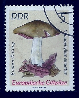 Zetas