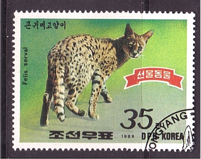 Serval
