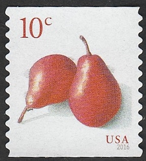 4849 - Peras