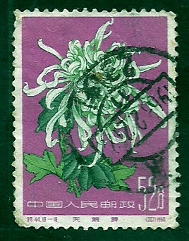 Flor