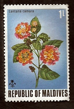 Lantana camara