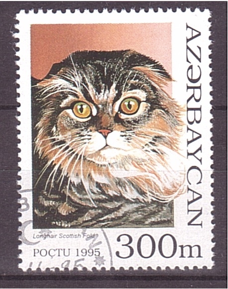 serie- Gatos