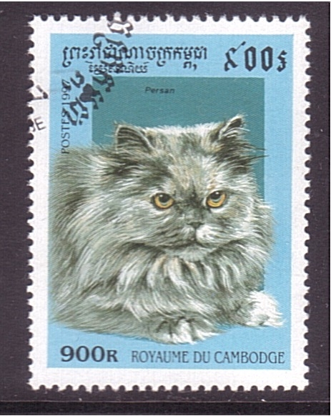 serie- Gatos