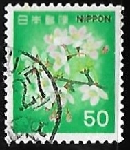 Cherry Blossoms