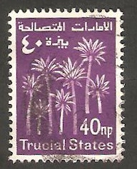 arabia del sudeste - Trucial States - Palmeras