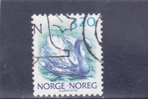 CISNE