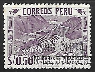 Cultivo del maiz