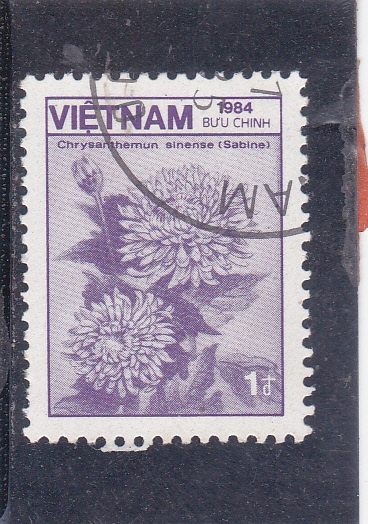 flores- SABINA