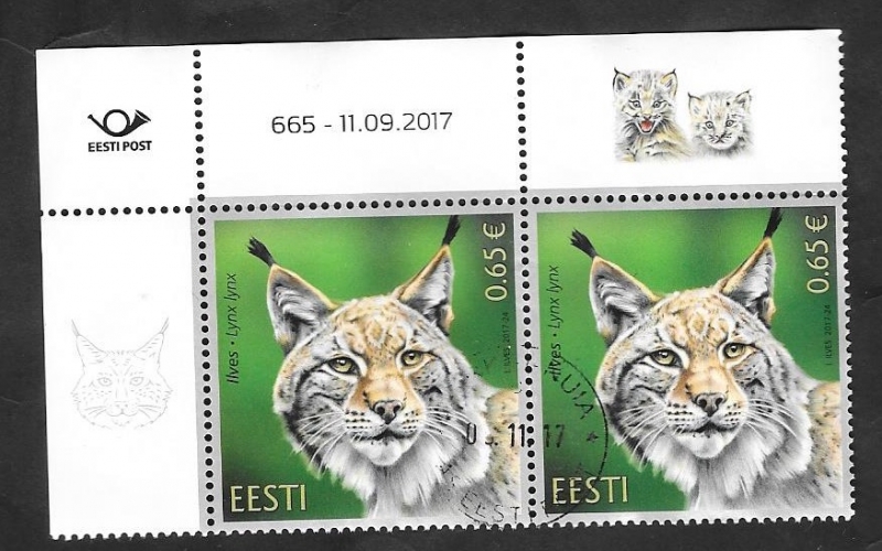 Lince