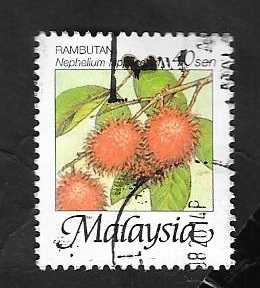 Rambutan