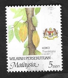 359 - Koko, theobroma cacao
