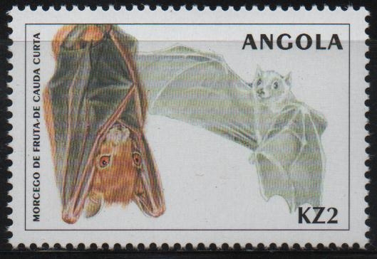 MURCIELAGO  DE  FRUTA