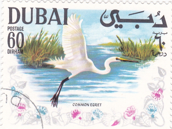 AVE- COMMON EGRET