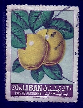 Frutas
